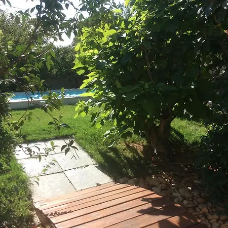 Ground Floor House With Swimming Pool, 8km From Avignon Casa vacanze
