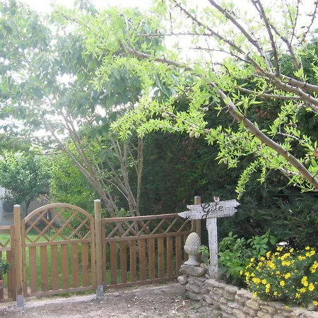 Ground Floor House With Swimming Pool, 8km From Avignon